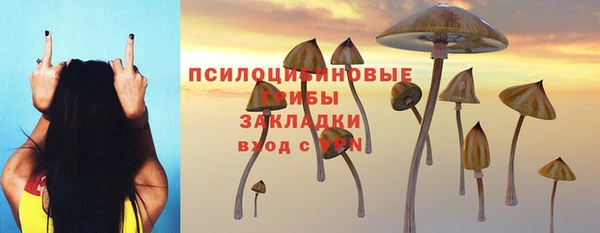 стафф Гусь-Хрустальный