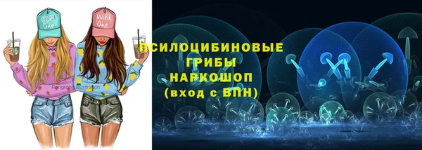 стафф Гусь-Хрустальный